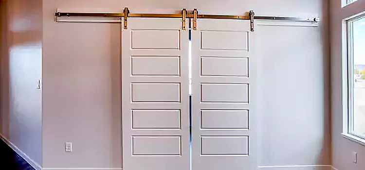 Glass Barn Door with Installation Hardware Kit Santa Maria