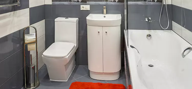 Hansgrohe Shaving Mirror Santa Maria